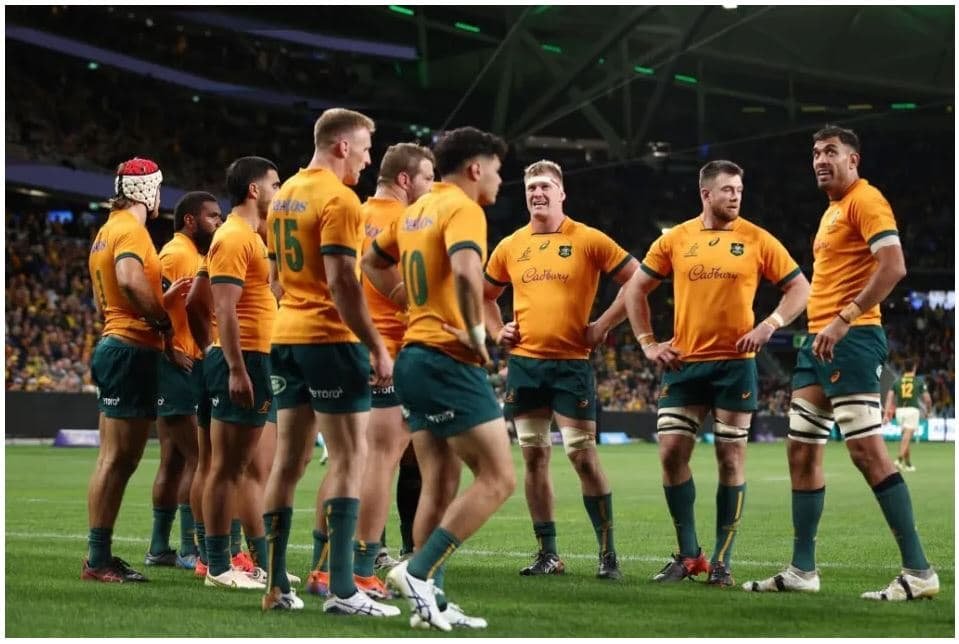 WALLABIES 2022