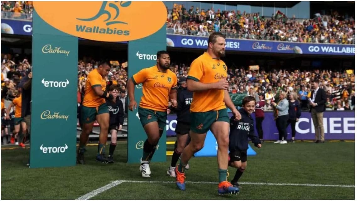 wallabies, australia 2022