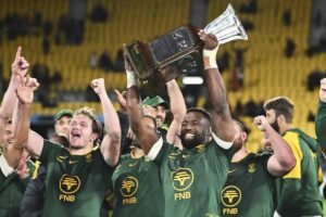 Sudáfrica 43-10 Nueva Zelanda